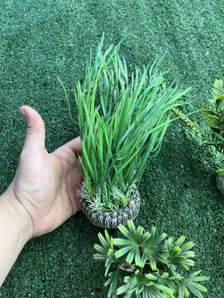 Decoracao aquario