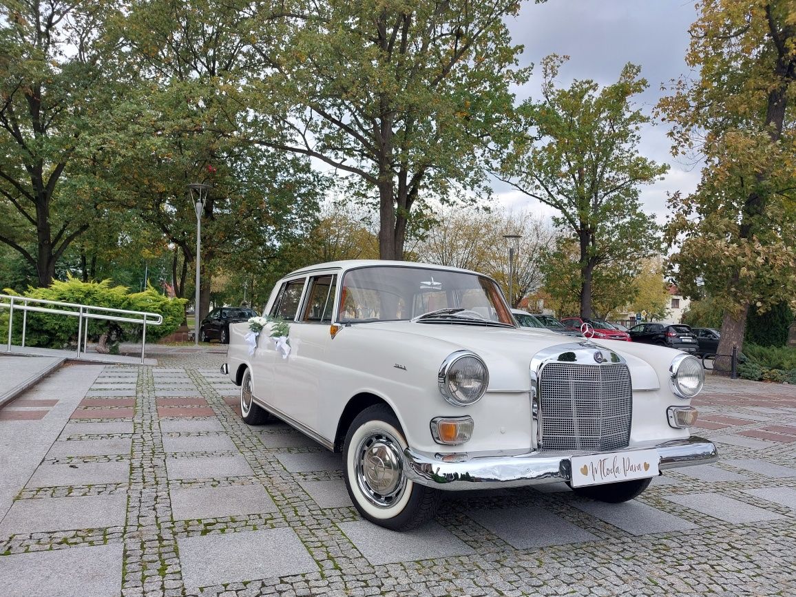 Auto Do Ślubu Zabytkowy Samochód na Wesele Ślub Mercedes Skrzydlak