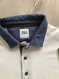 Zara r. M - elegancka koszulka typu polo