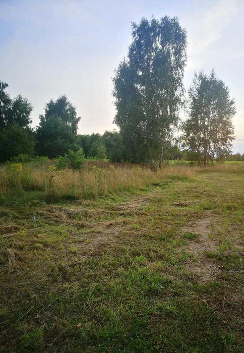 Działka z wydanymi Warunkami Zabudowy Chrzęsne