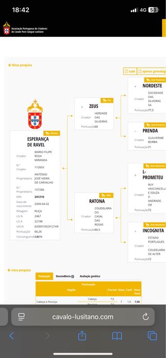 Egua russa pontuada