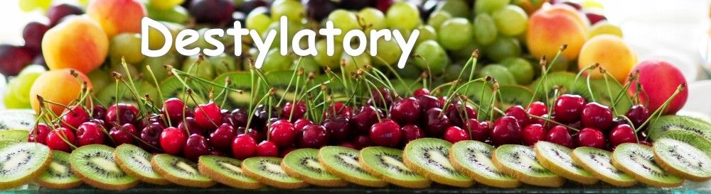 Destylator 20 L Elektryczny Keg Odstojniki Palce