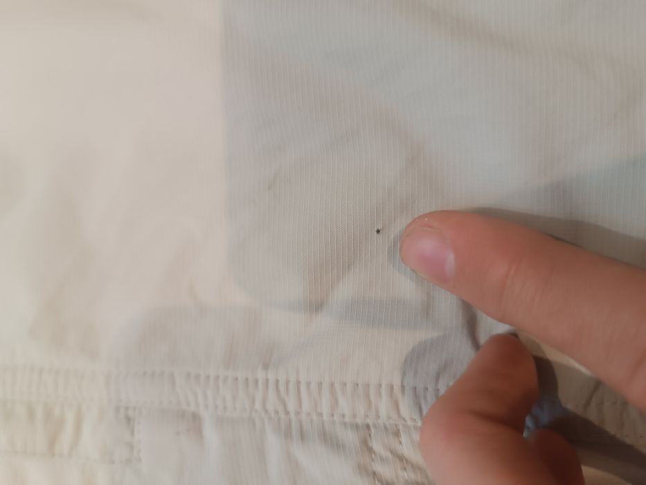 Шорти бриджі Schoffel