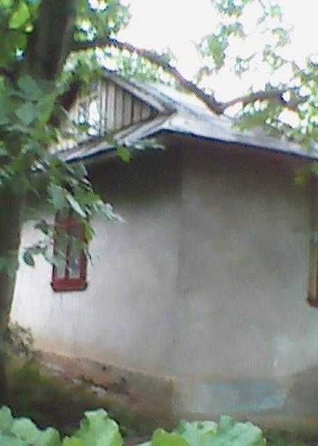 Продам будинок в селі Ів-Франк. області (в Дністровському каньйоні)