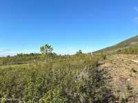 Terreno com 20 hectares em Penha Garcia