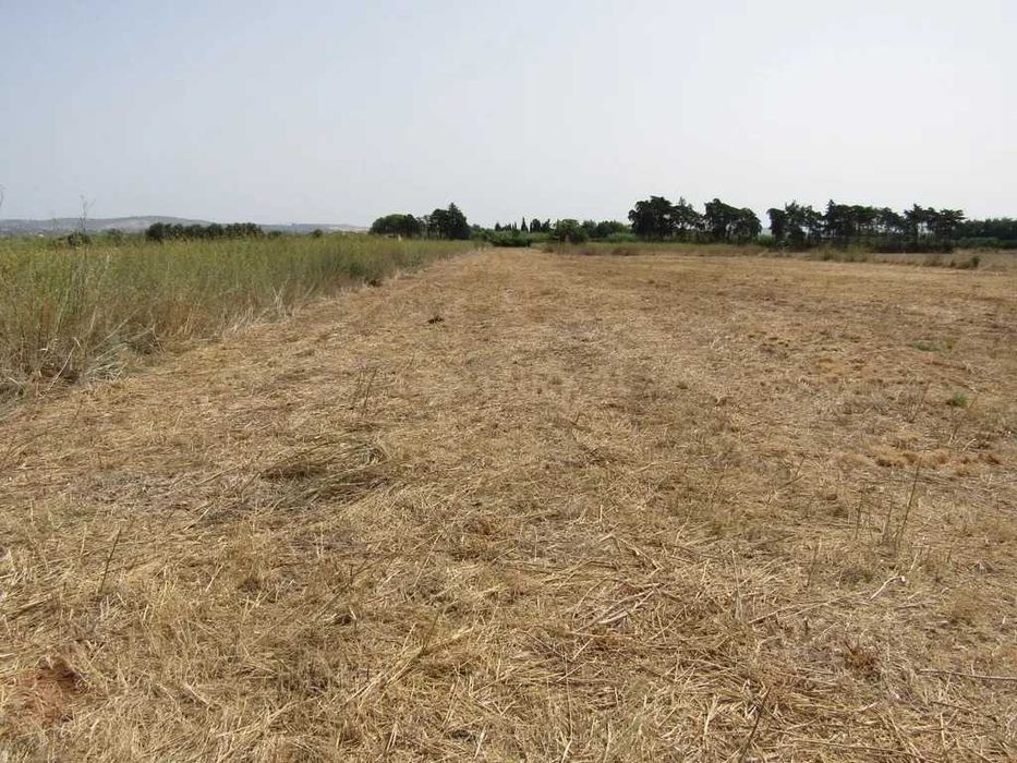 Vende-se Terreno de cultura