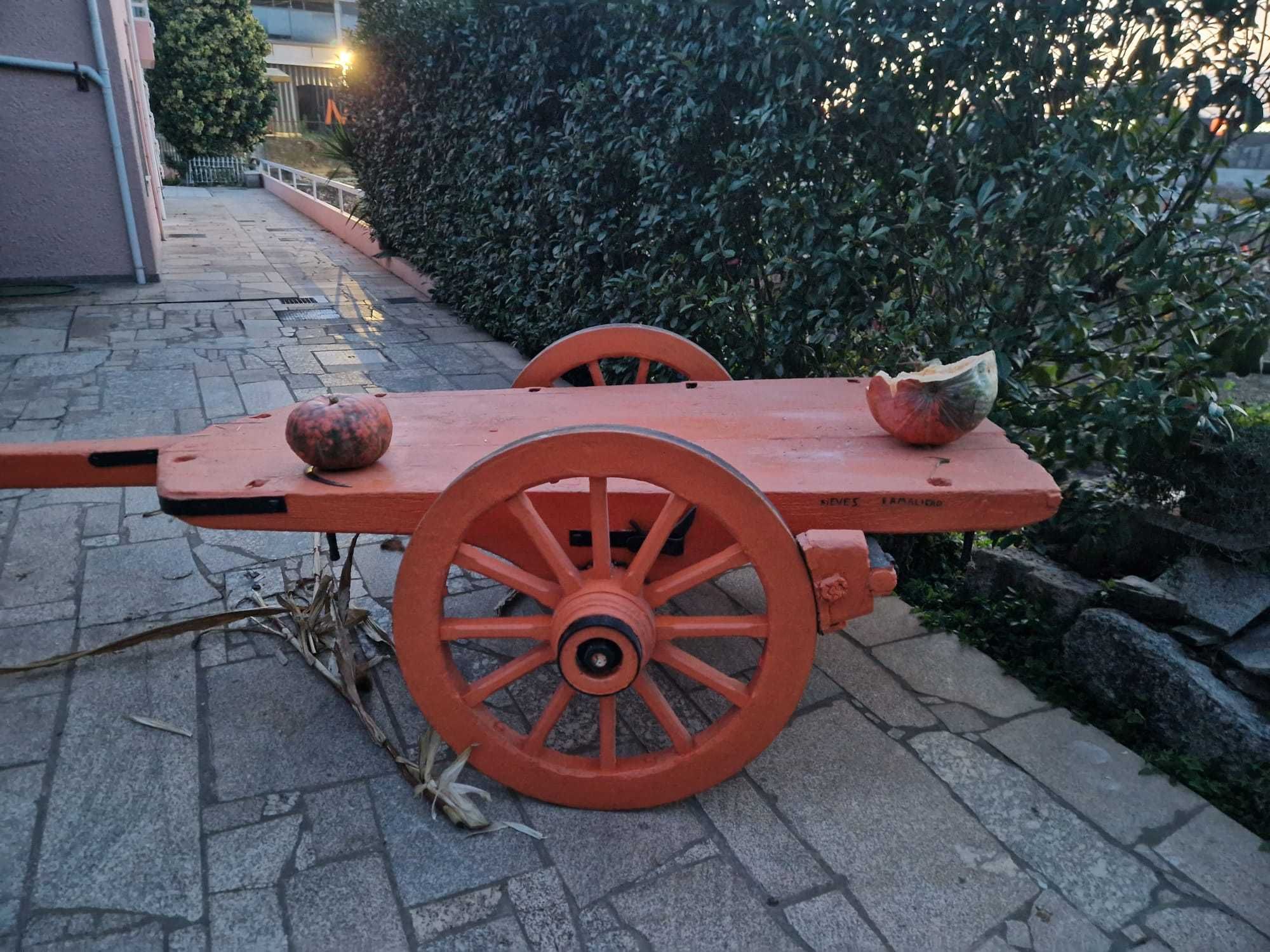 Carro de bois - Joia agrícola