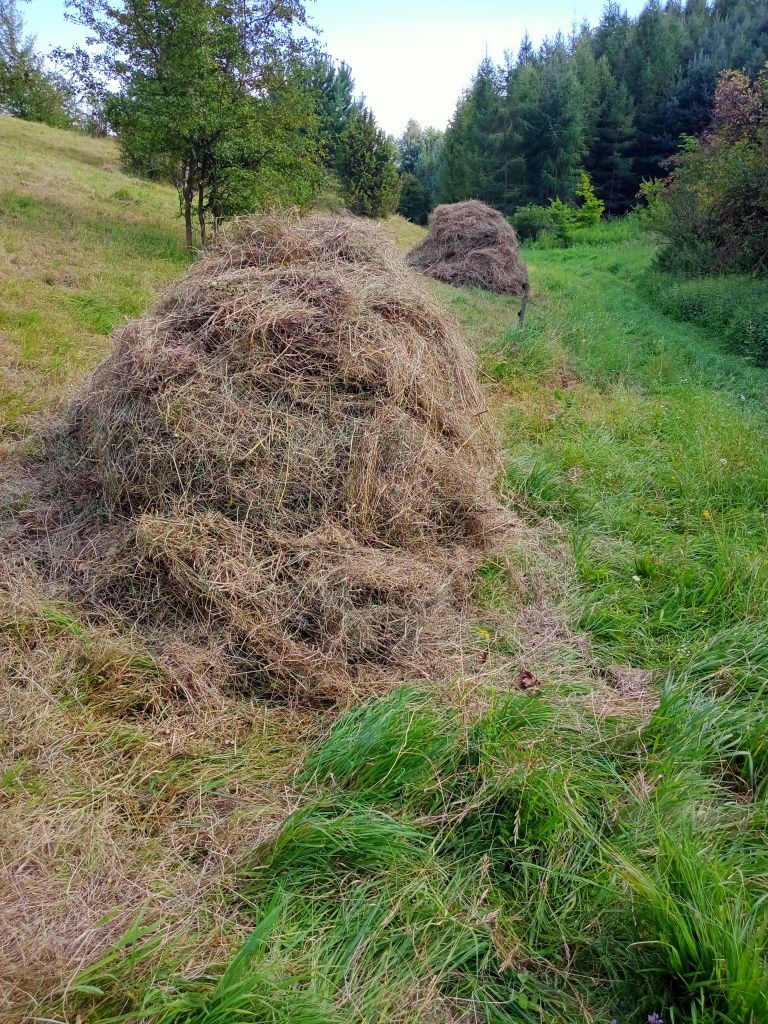 Siano z użytków ekologicznych