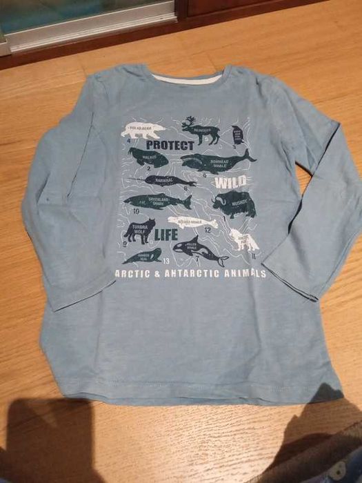 sweetshirts rapaz