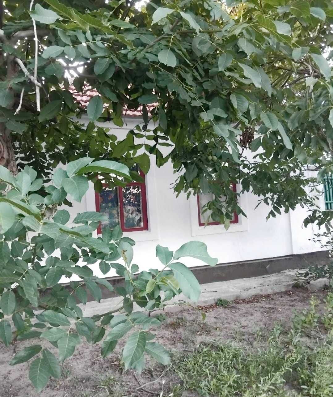 Продажа дома в Варваровке!