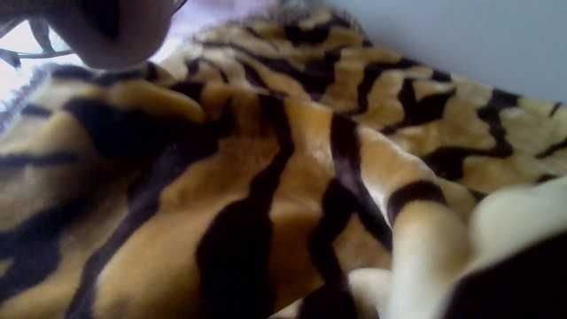 Coberta cama casal tecido aveludado -50% do valor compra