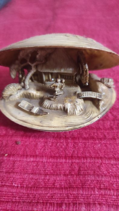 Concha japonesa em miniatura