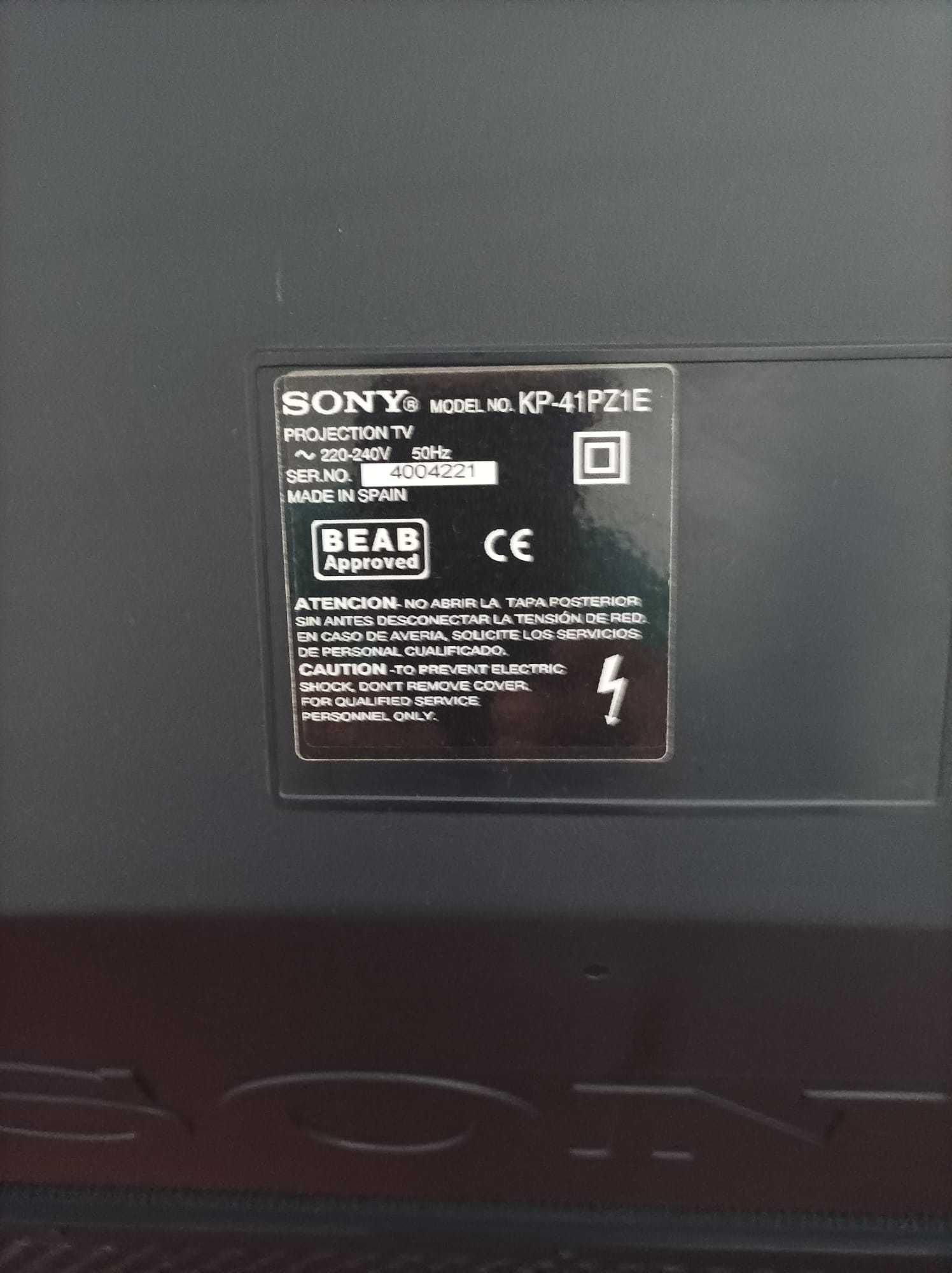 Vendo Televisor Plasma Sony