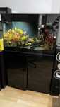 Zestaw akwariowy Aquael Glossy 80