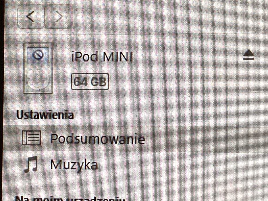 iPod mini Compact Flash 64GB