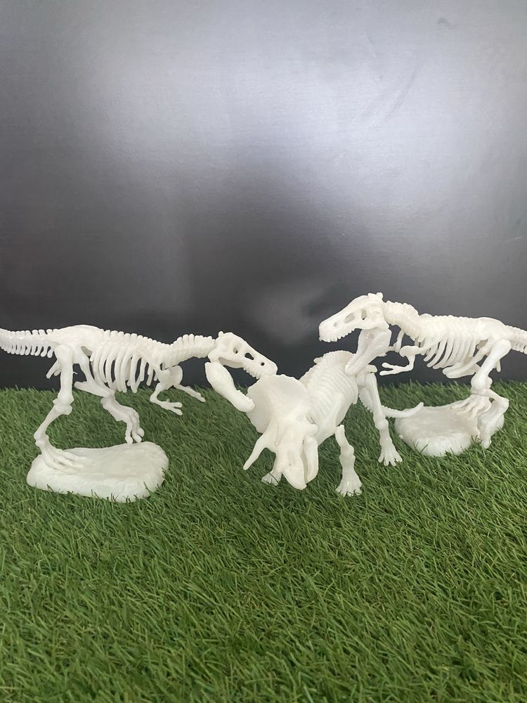 Dinossauros Esqueletos