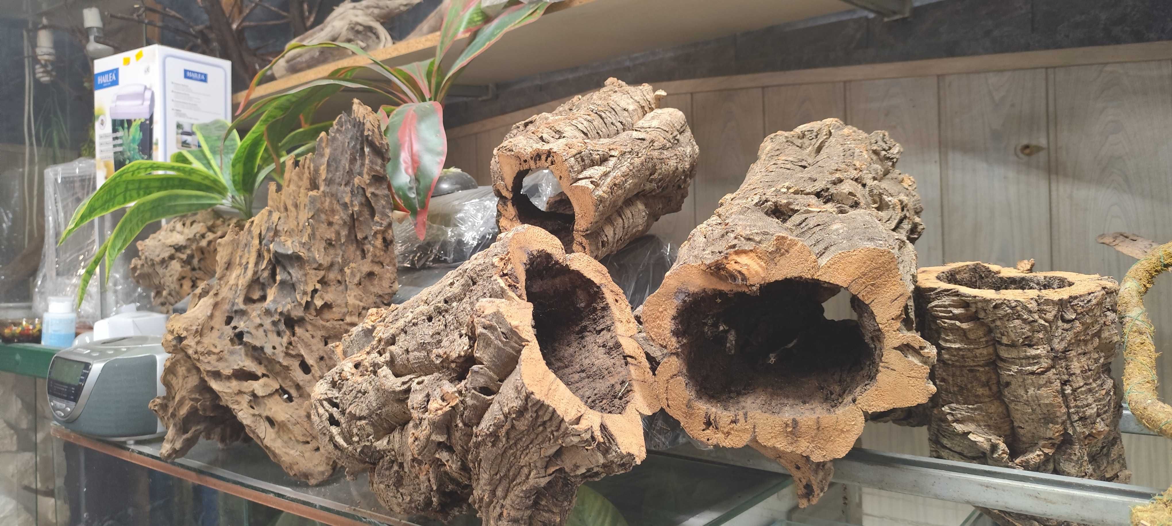 korek ozdobny do terrarium
