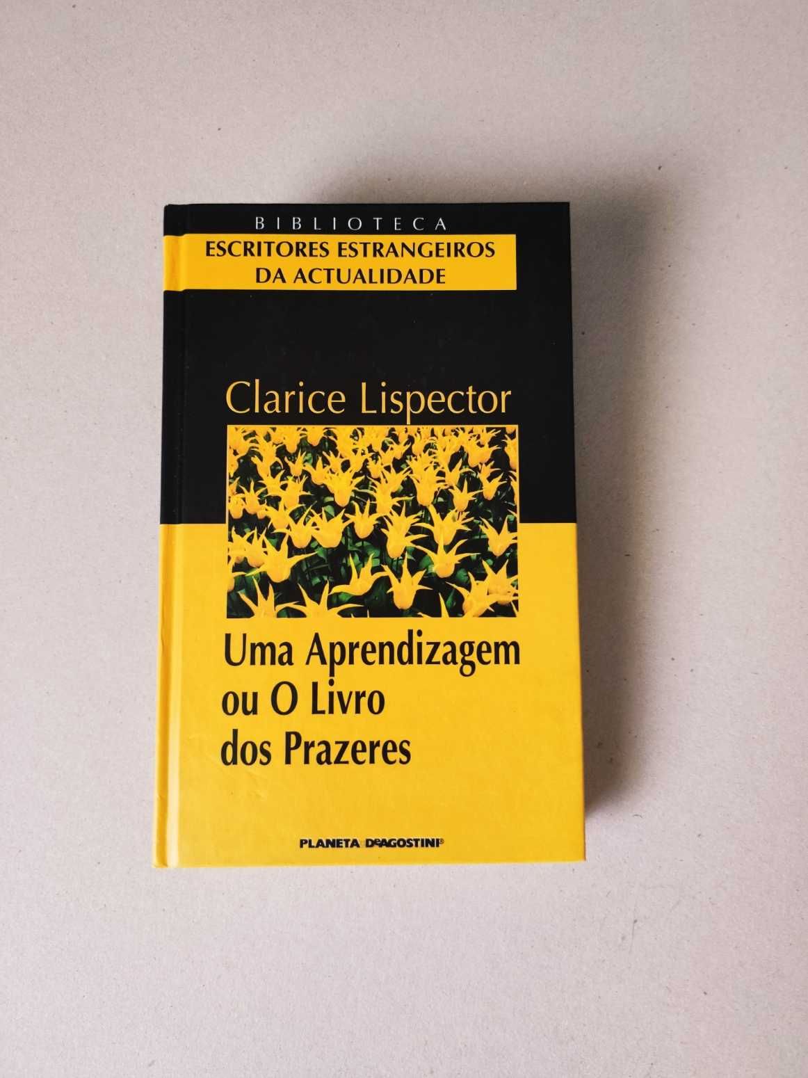 Uma Aprendizagem ou O Livro dos Prazeres - Clarice Lispector