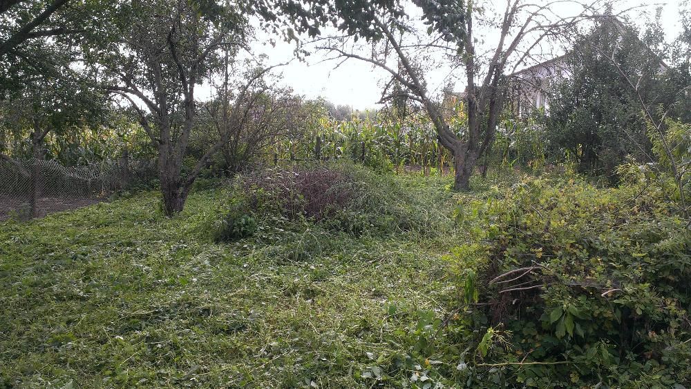 Продається будинок в Батурині