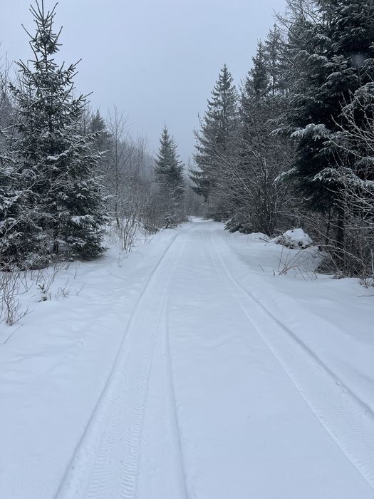 Продам зимельну ділянку в Карпатах
