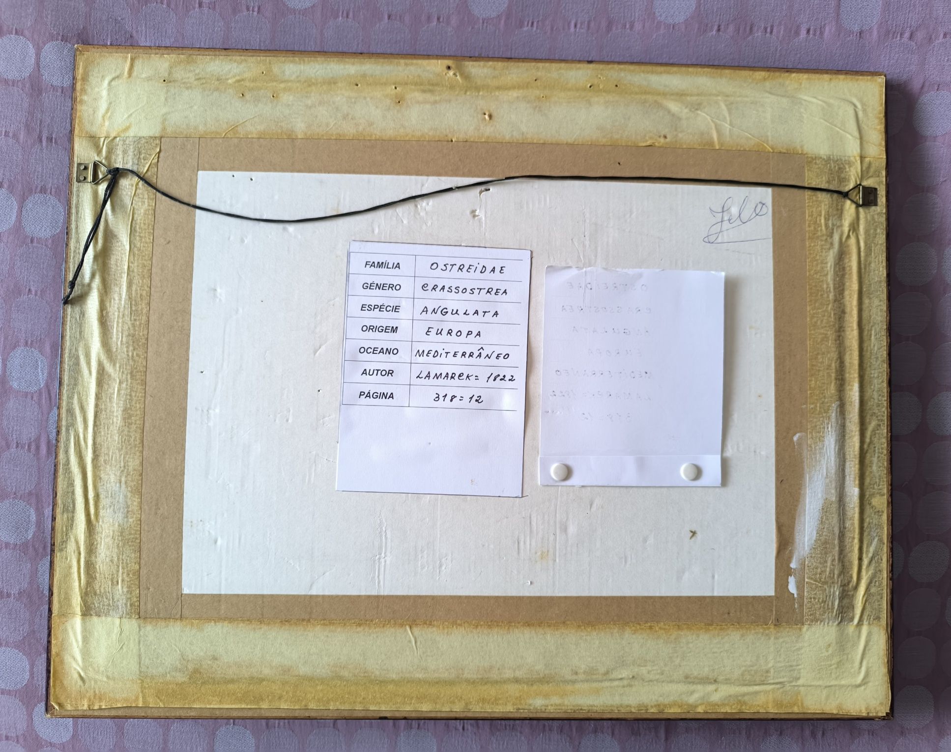 Quadro decorativo