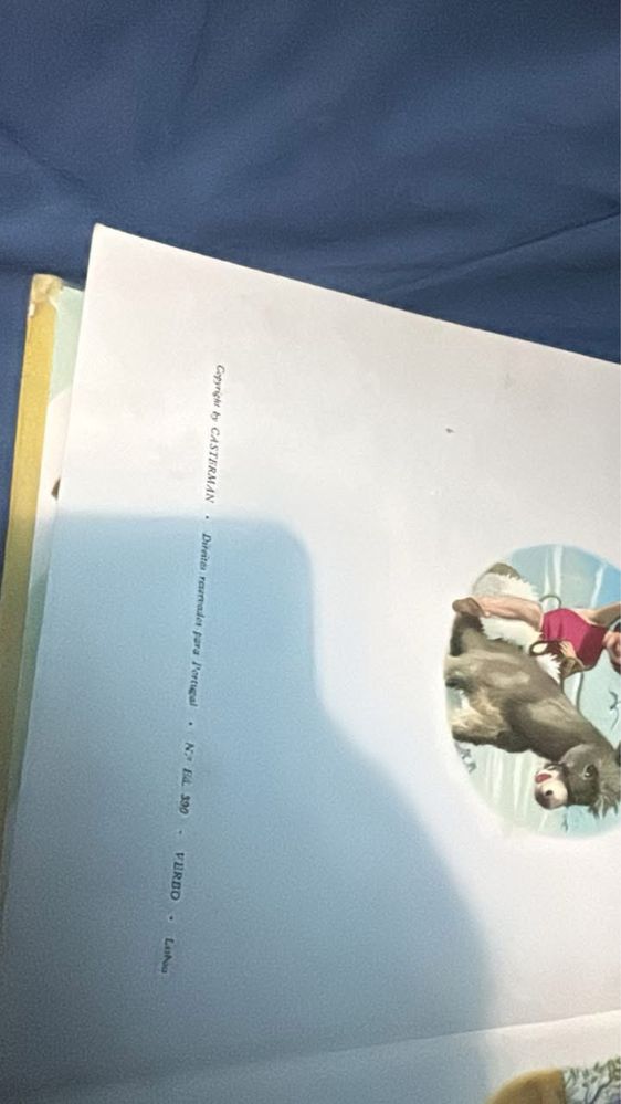 Livro: Anita e a arca de Noé