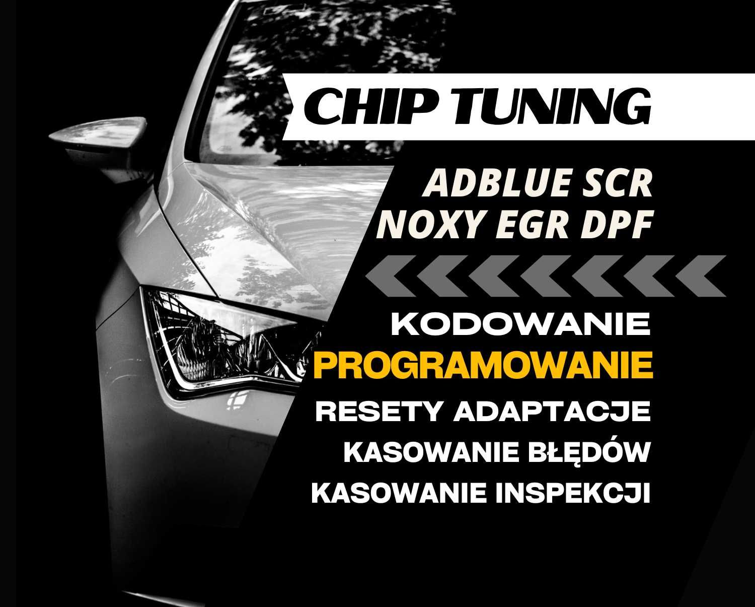 Chip Tuning Adblue DPF EGR SCR Diagnostyka Usuwanie Kasowanie Błędów