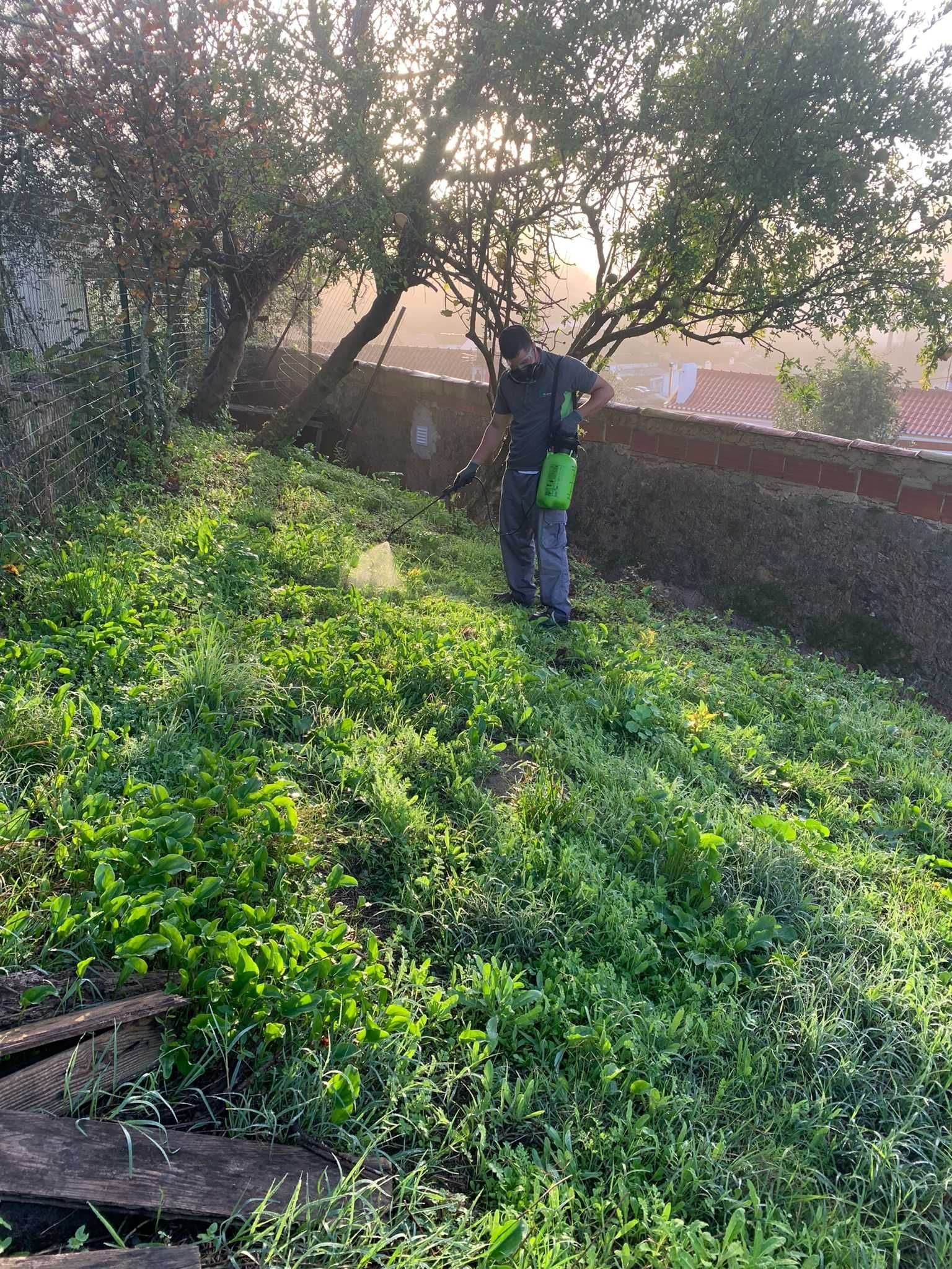 Manutenção de jardim