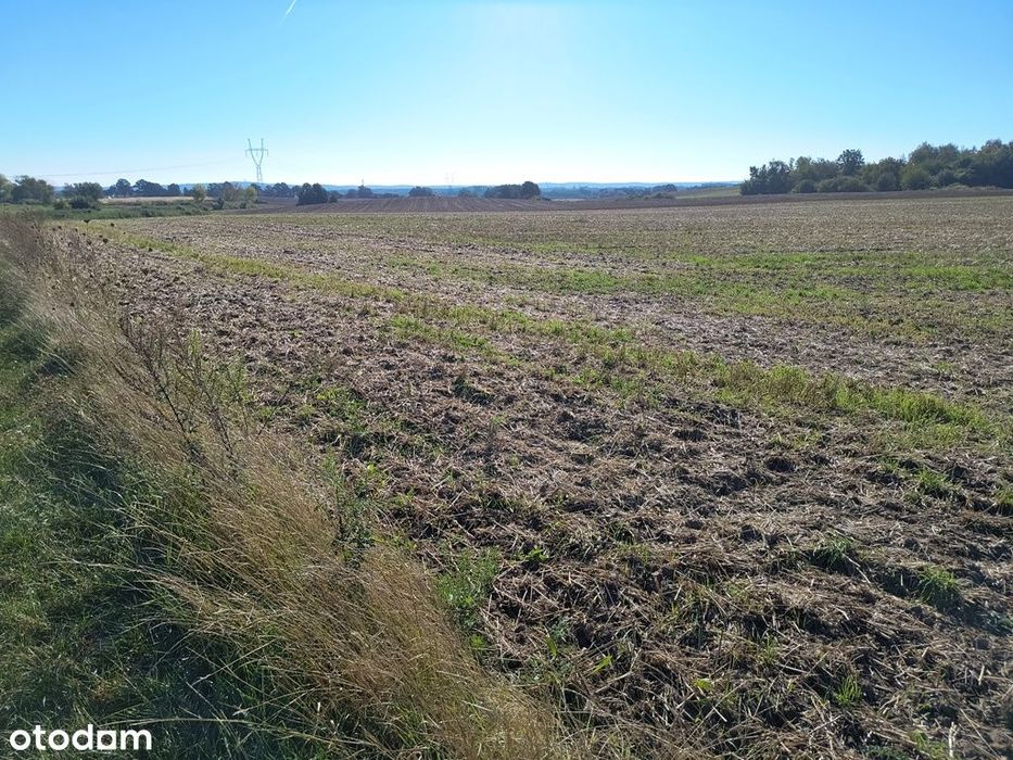 Działka budowlana Poznań ul. Celichowskich (Morasko)