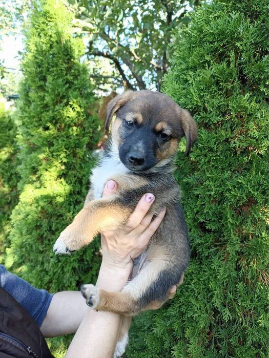 Гарний хлопчик та дівчинка