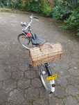 Bicicleta pasteleira roda 26