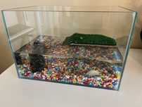 Terrario tartarugueira para tartarugas aquaticas
