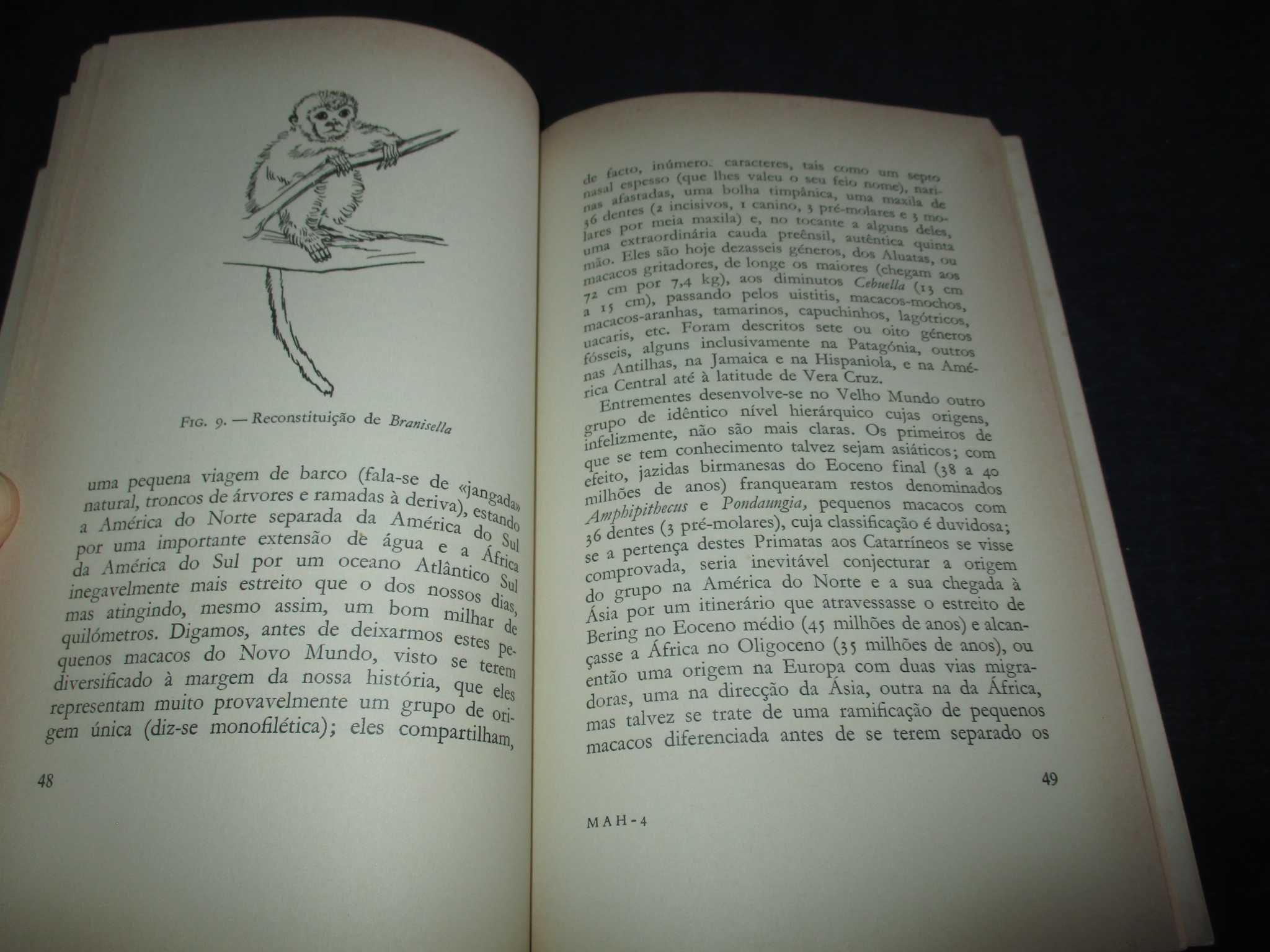 Livro O Macaco A África e o Homem Yves Coppens