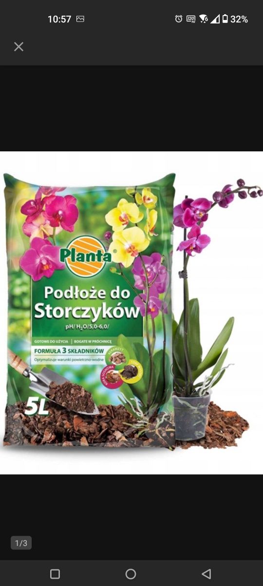 Podłoże do storczyków