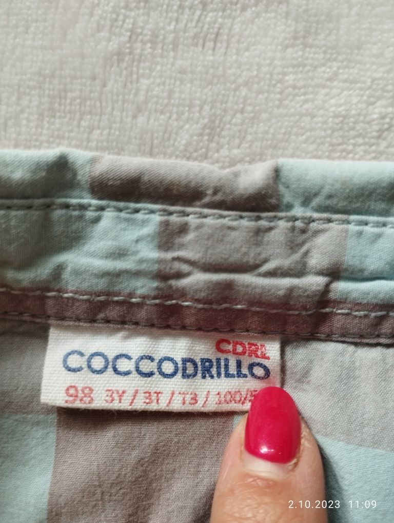 Koszula chłopięca coccodrillo r.98