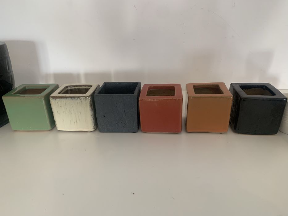 Conjunto com 12 vasos de plantas