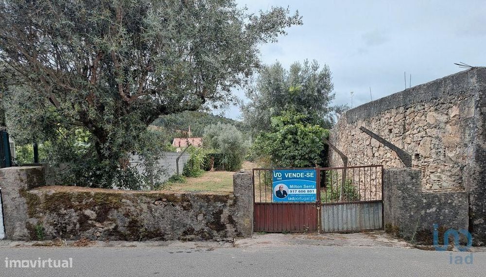 Terreno em Poiares (Santo André)