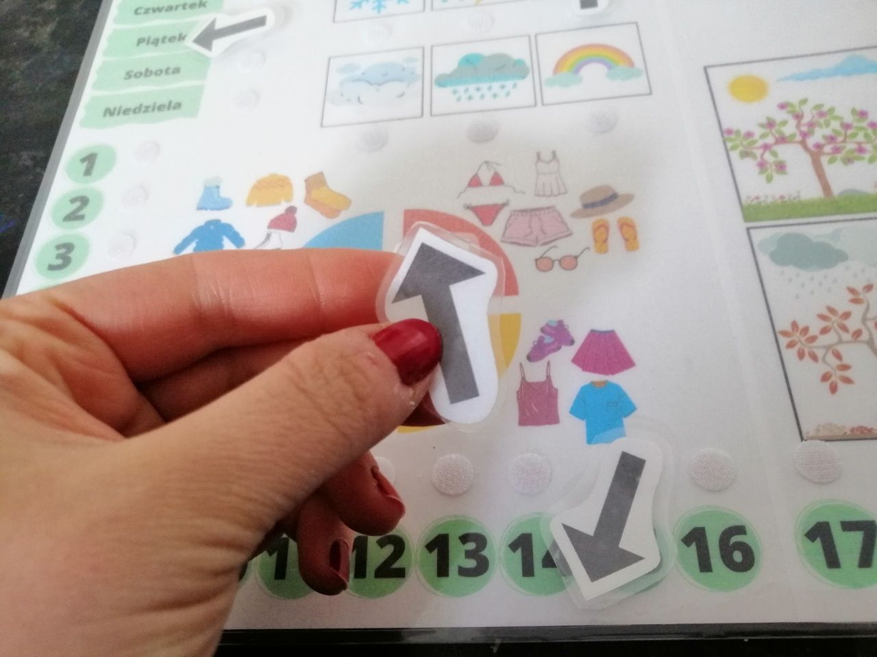 Kalendarz dla dziecka A3 rzepy montessori