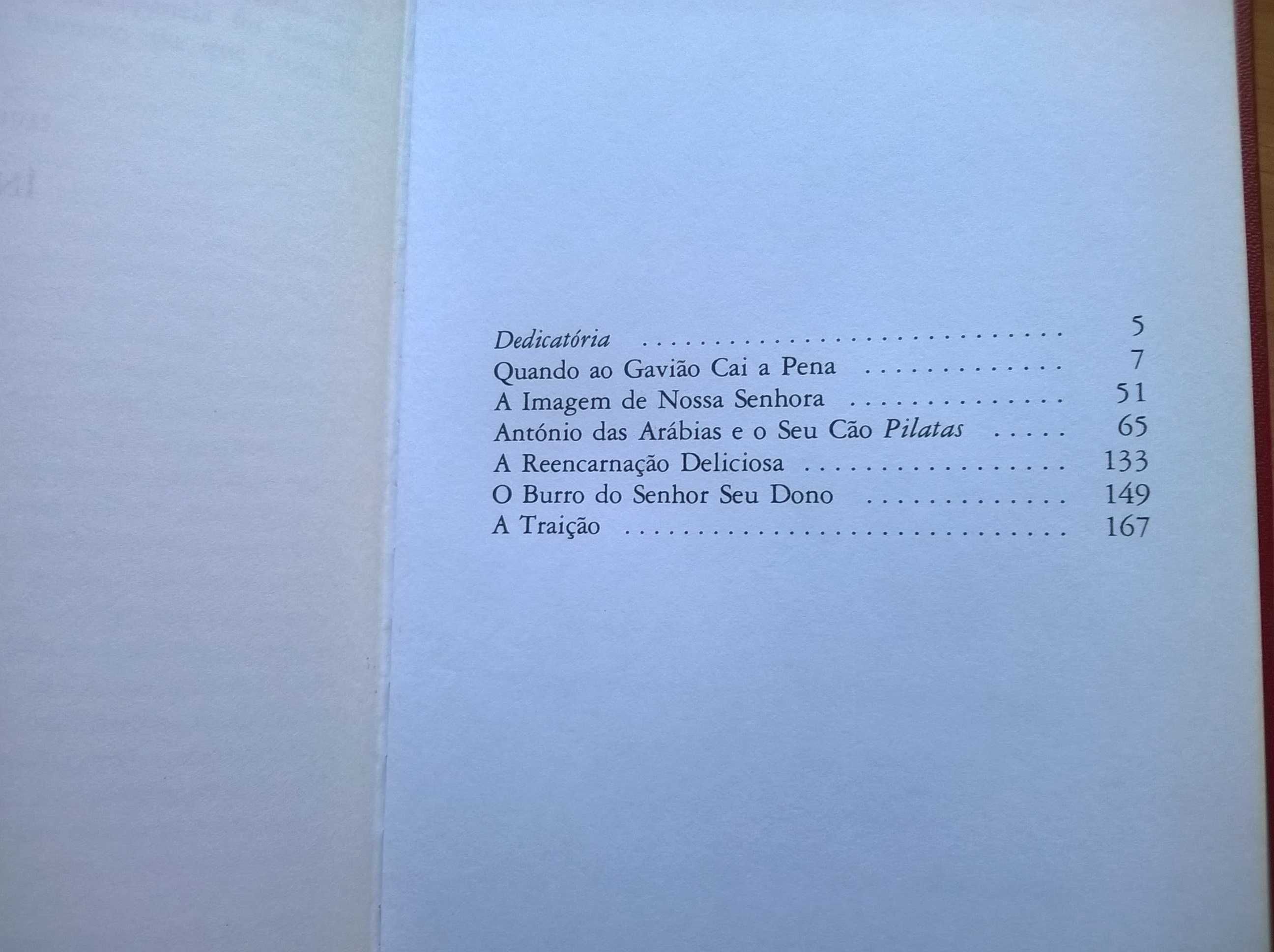 Quando ao Gavião Cai a Pena - Aquilino Ribeiro (portes grátis)