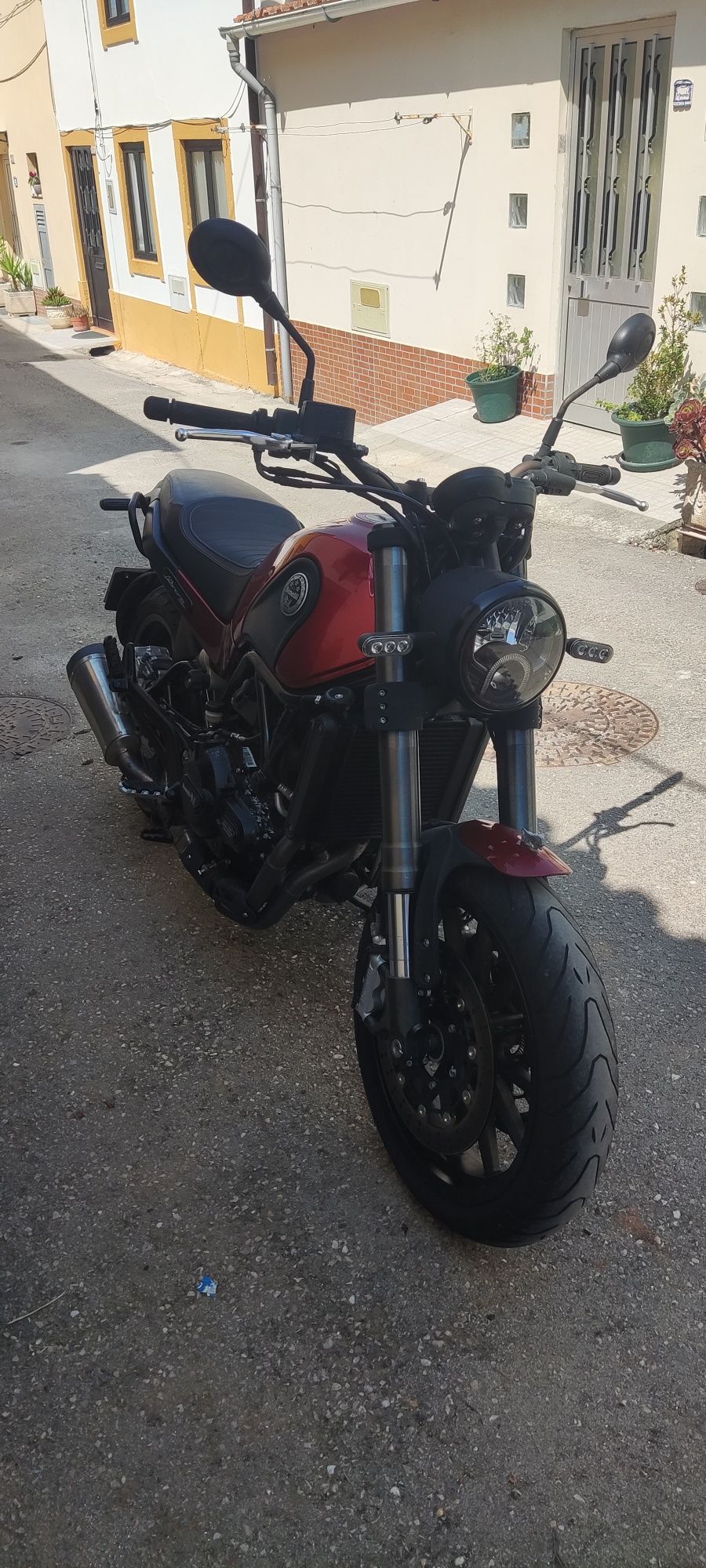 Benelli Leoncino 500