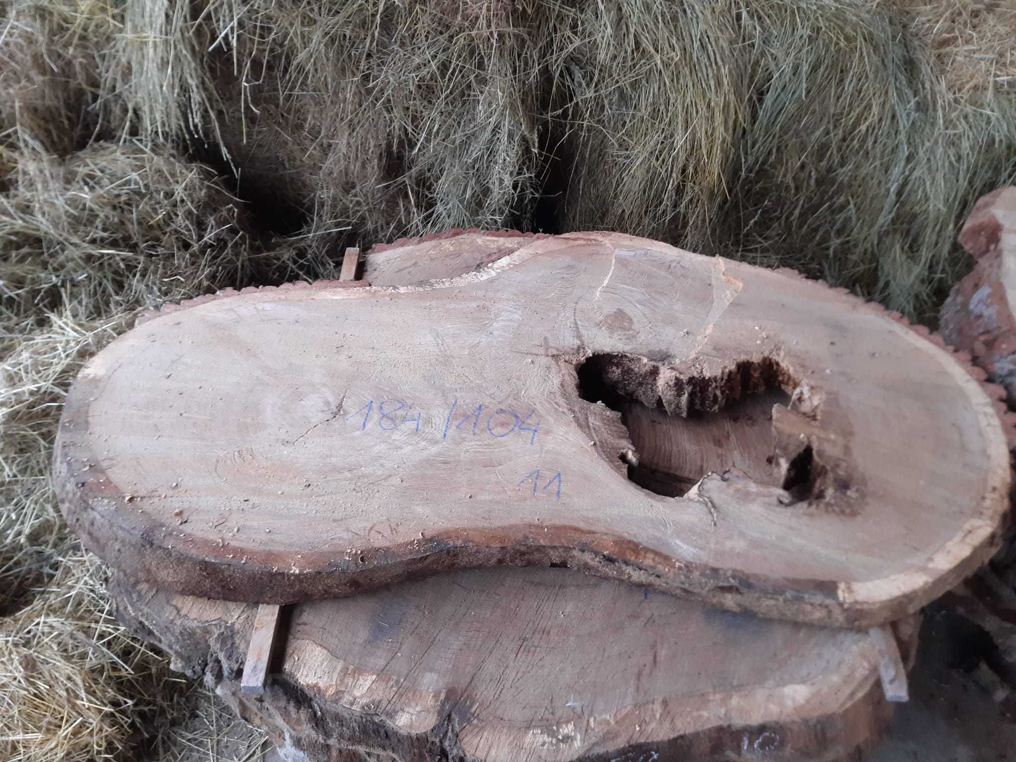 Drewno Dąb plastry 10 cm grubość, około 650 - 700 letni