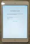 Apple iPad mini A1432