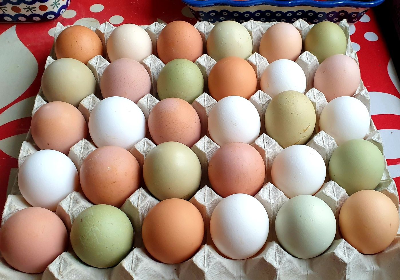 Jaja, jajka swojskie, wiejskie,wolny wybieg, wyjątkowo smaczne