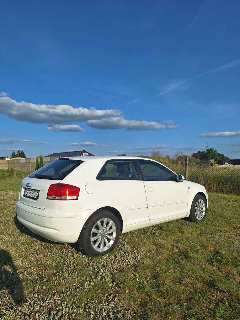 Audi A3 8P lifting