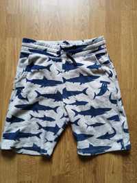 Szorty bawełniane H&M rekiny ryby chlopiece spodnie spodenki