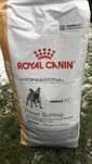 Karma royal canin buldog fr adult 15 kg