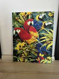 Картина 40*50 попугаи