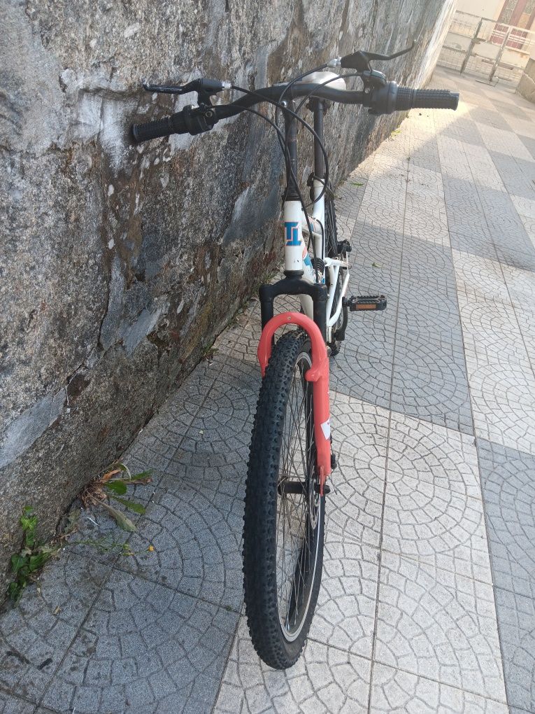 Bicicleta da maraca TEAM