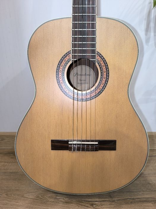 Gitara Pasadena CG1