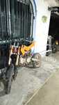Pit bike 125 motor Atomic novo